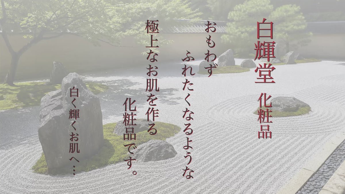 動画を読み込む: 